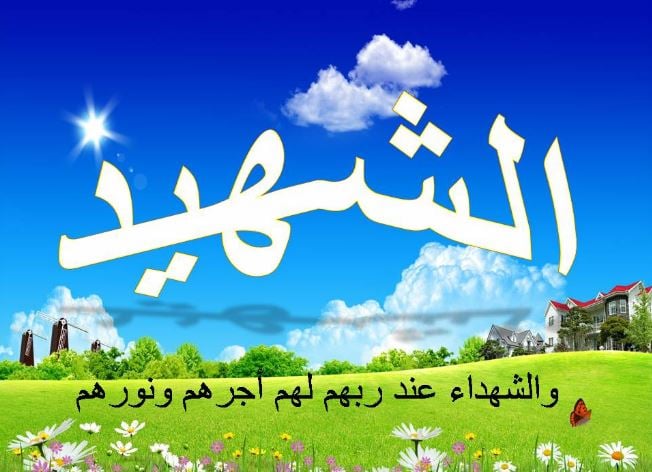 خواطر عن الشهداء