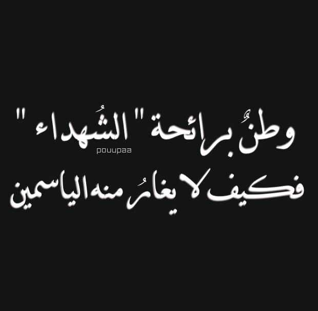 خواطر عن الشهداء