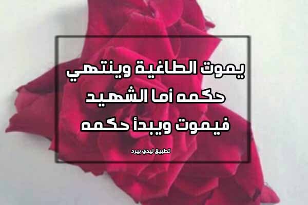 خواطر عن الشهداء