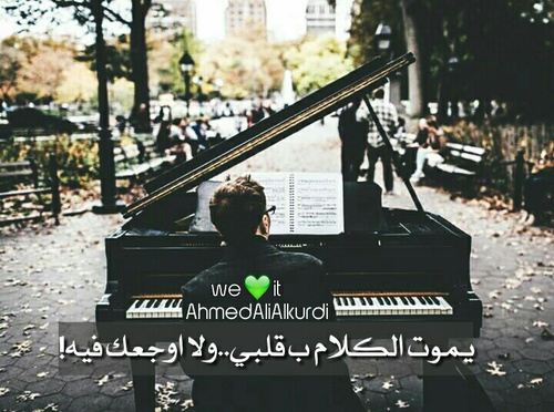 خواطر عن الصمت