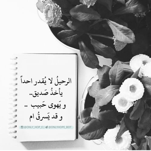 خواطر عن الغياب