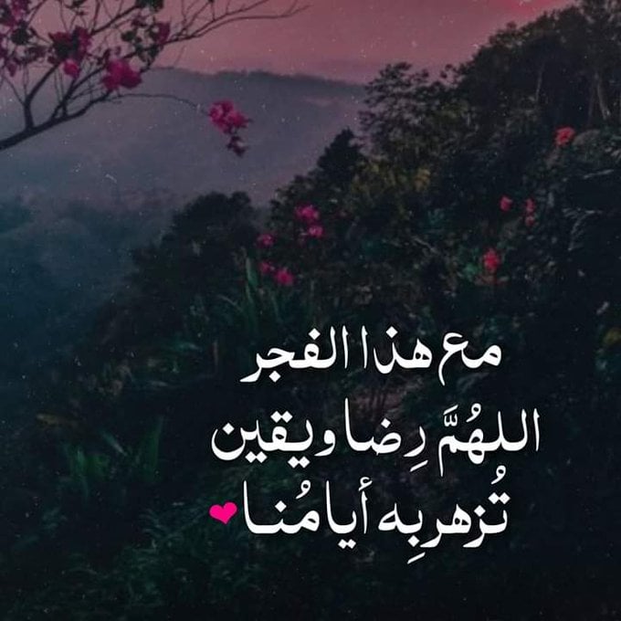 خواطر عن الفجر