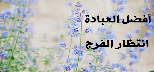 خواطر عن الفرج
