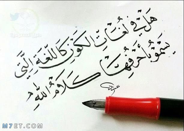 خواطر عن اللغة العربية