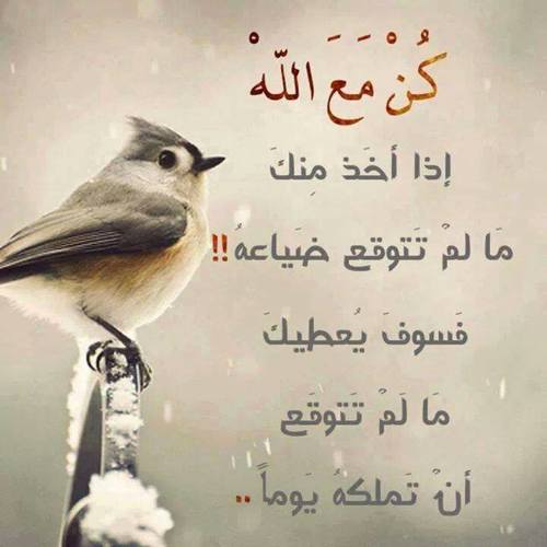 خواطر عن الله عز وجل