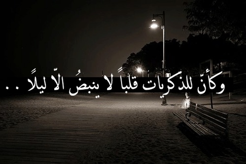 خواطر عن الليل والحب