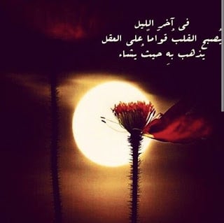 خواطر عن الليل والحب