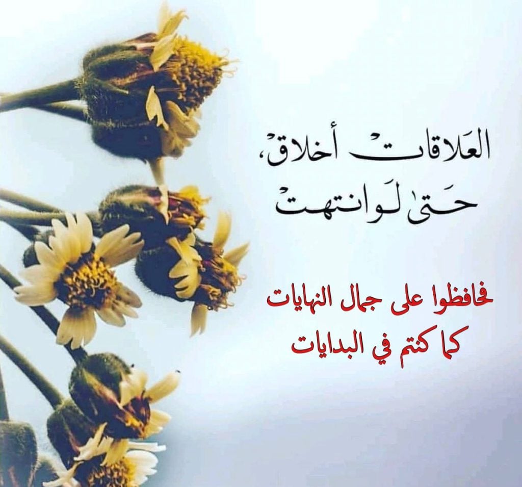 خواطر عن النهايات