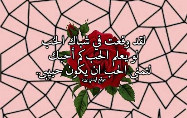 خواطر عن النوم