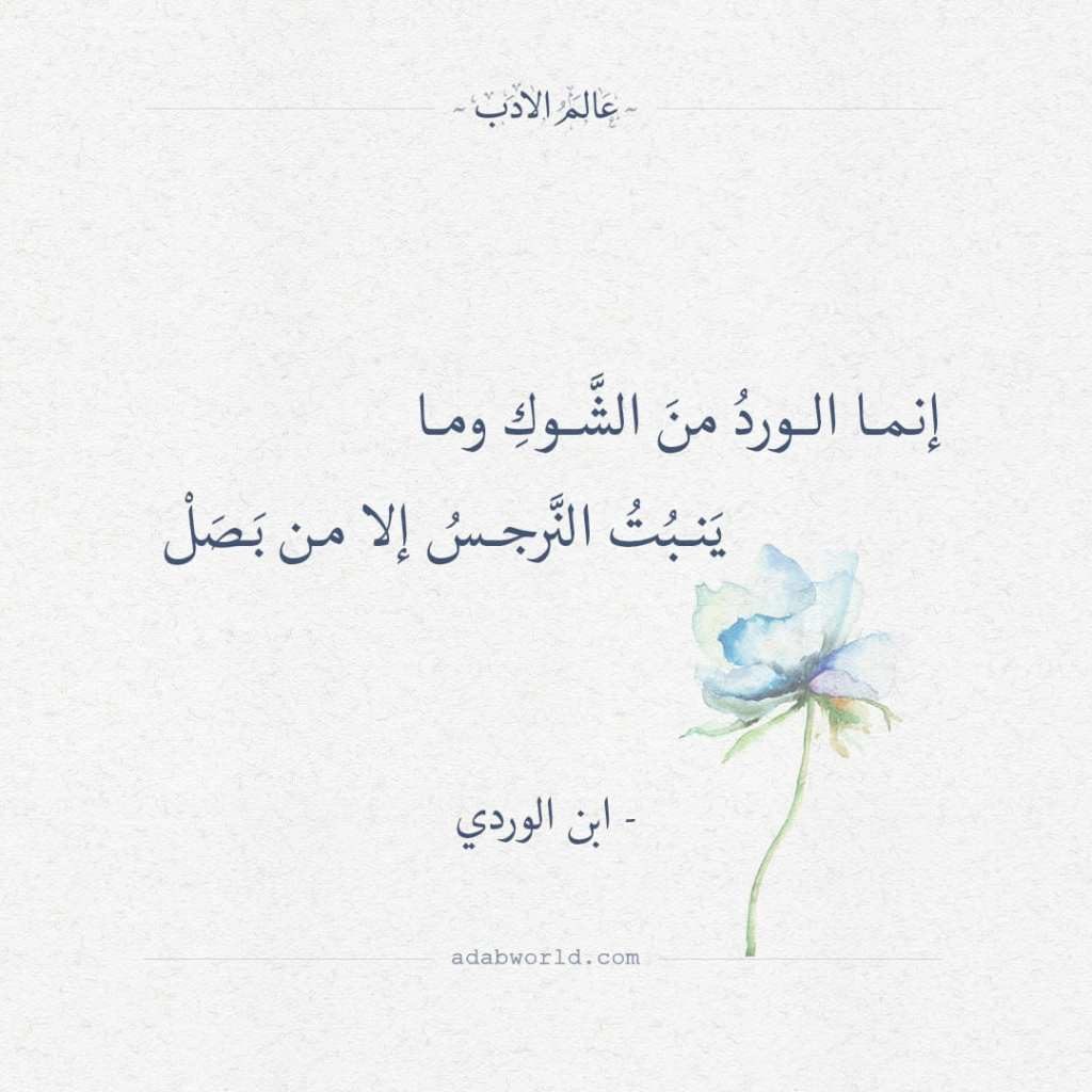 خواطر عن الورد والشوك