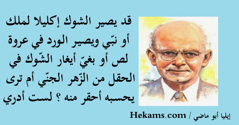 خواطر عن الورد والشوك