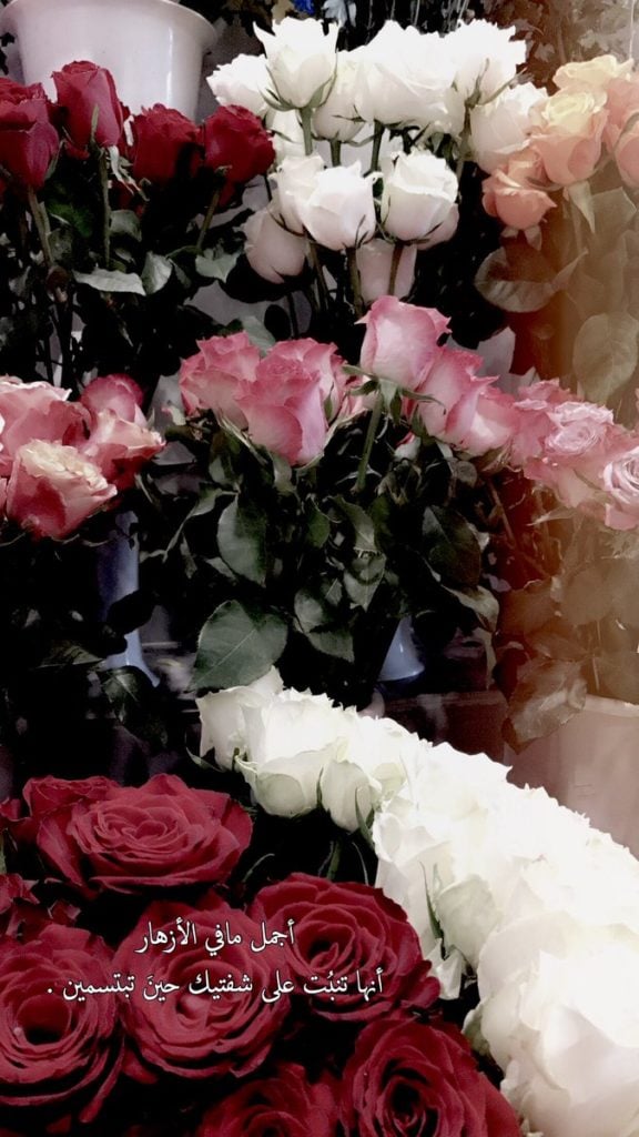 خواطر عن الورد
