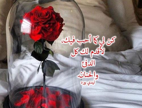 خواطر عن الورد