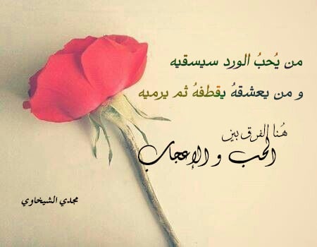 خواطر عن الورد