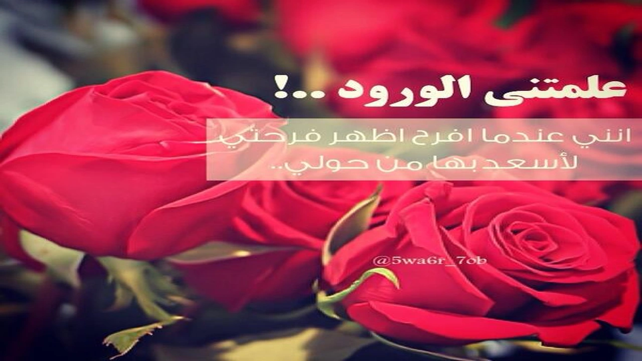 صورة خواطر عن الورد