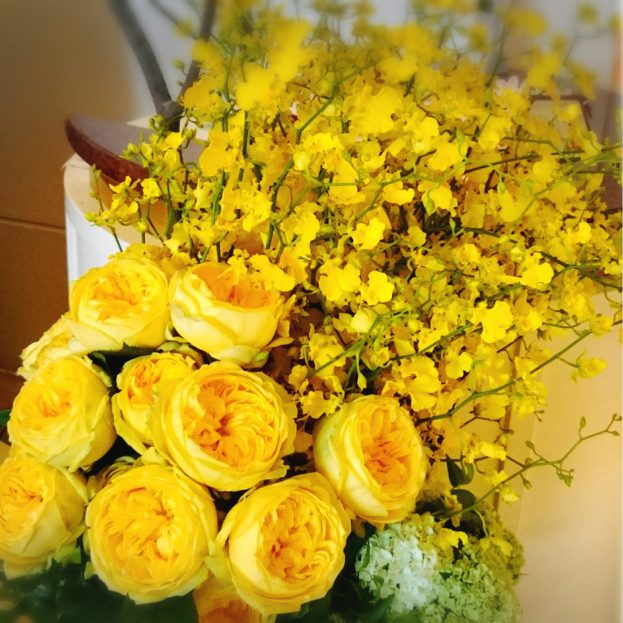 خواطر عن الورد