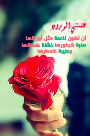خواطر عن الورد