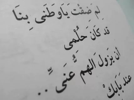 خواطر عن الوطن