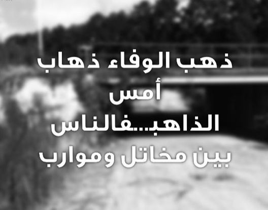 خواطر عن الوفاء