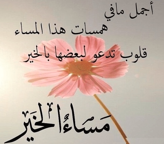 خواطر مساء الخير