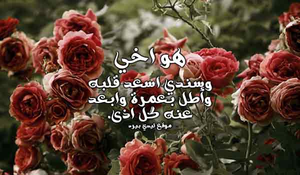 دعاء الاستوداع للاخ