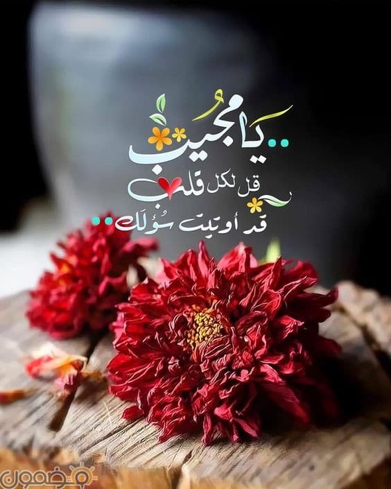 دعاء الستر وحفظ العرض