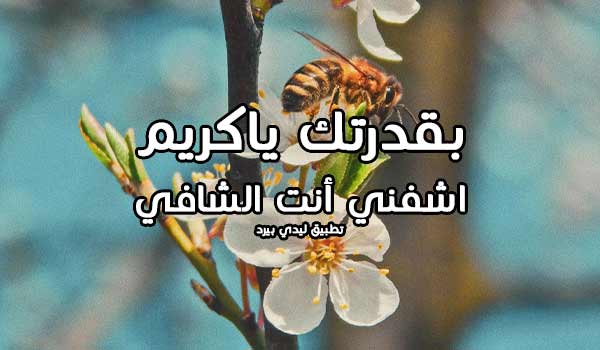 دعاء الشفاء لي
