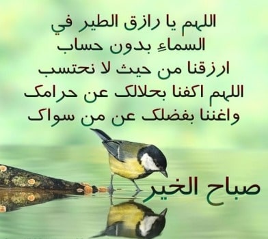 دعاء الصباح العفاسي