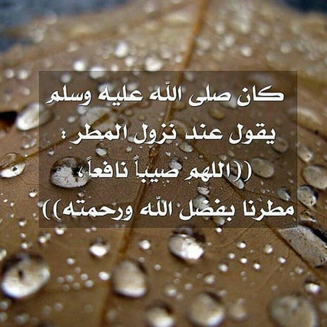 دعاء في المطر