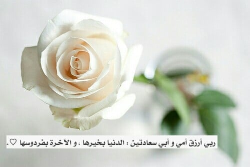 دعاء للام والاب المتوفيين