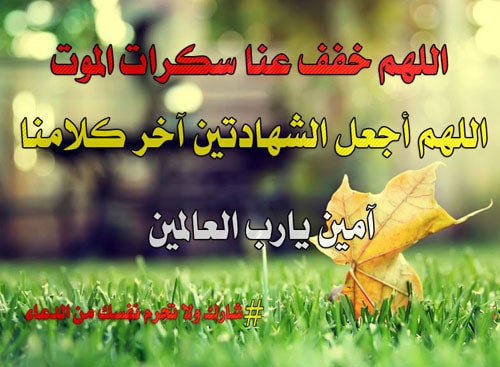دعاء للحجاج