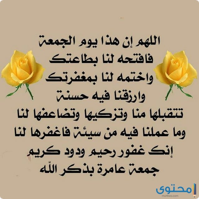 دعاء يوم عرفة كامل