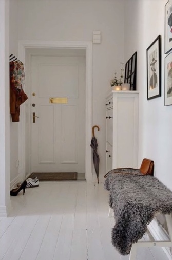 ديكورات مداخل شقق