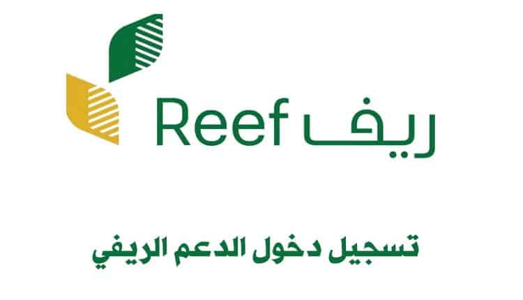 رابط تسجيل الدخول ريف