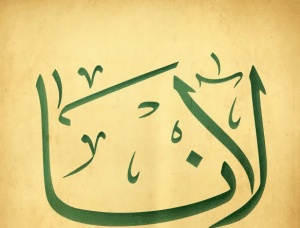 رايكم في اسم لانا