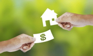 رايكم في التقسيط