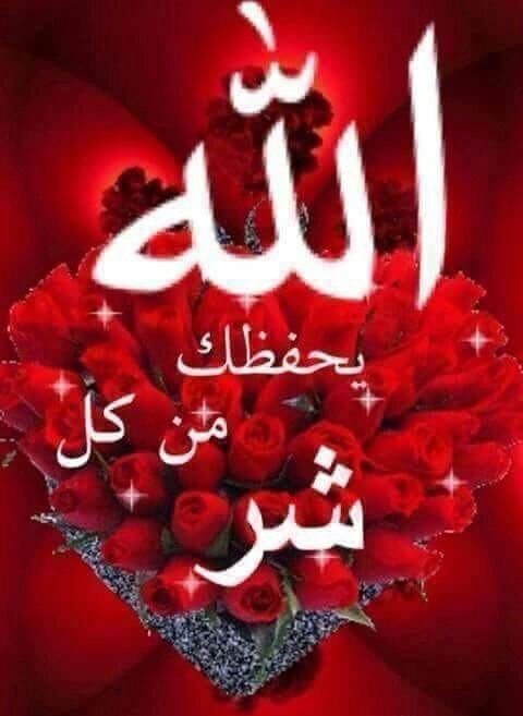 ربي يحفظك ويحميك من كل سوء