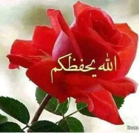 رد على بالعافيه
