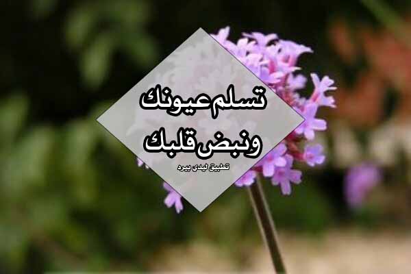 رد على بالعافيه