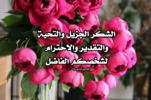 رد على تعليقات الفيس بوك