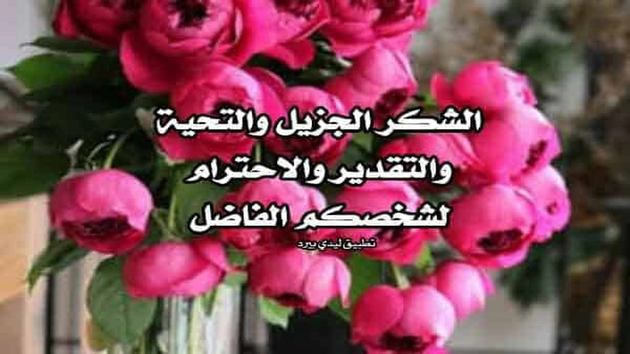 صورة رد على تعليقات الفيس بوك