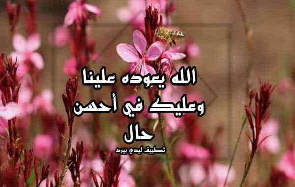 رد على تهنئة عيد الأضحى