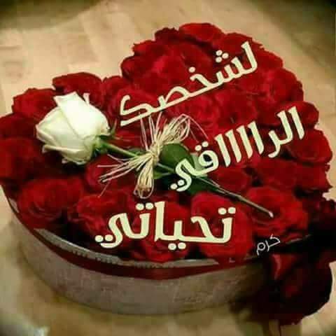 رد على جميع التعليقات