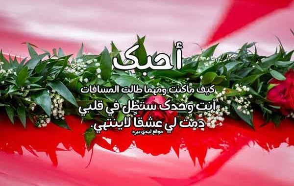رد على رسالة حب