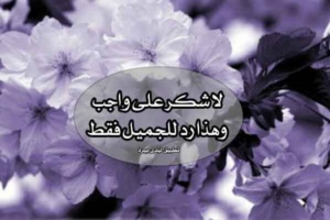 رد على رسالة شكر