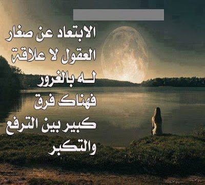 رد على شخص تافه