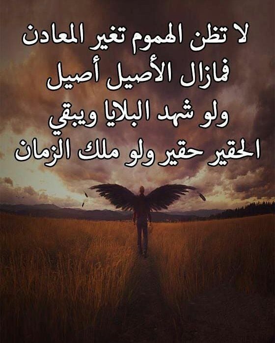 رد على شخص تافه