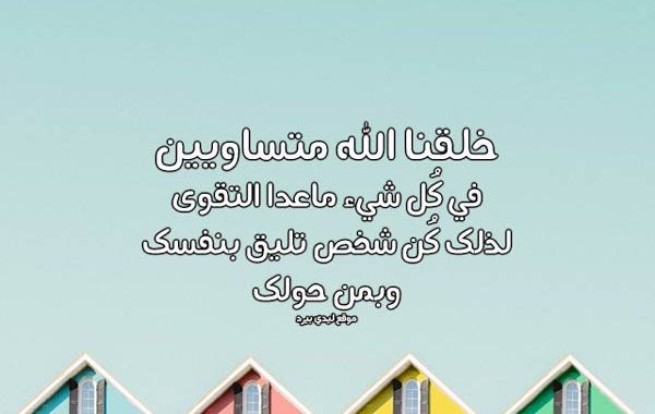 رد على شخص تافه