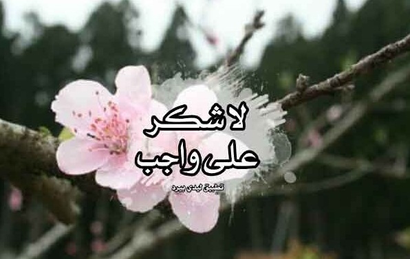 رد على شخص يمدحك