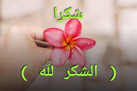 رد على شكرا